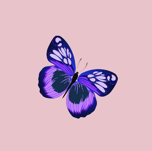 put a description here or you will lose grades