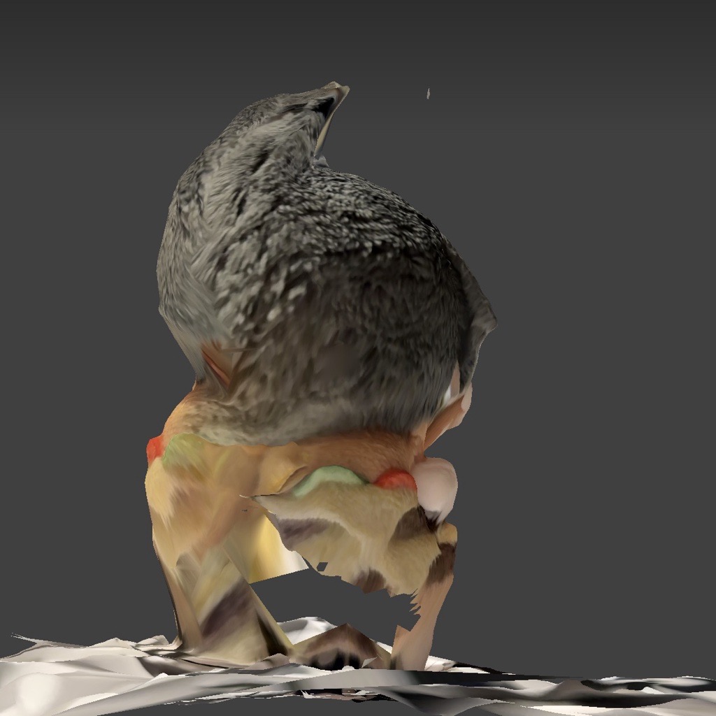 put annotation here for reference